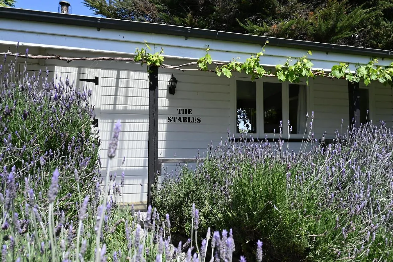Frühstückspension St Leonards Vineyard Cottages Blenheim