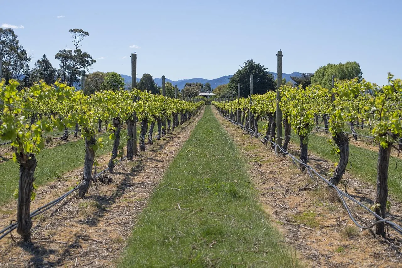 St Leonards Vineyard Cottages Blenheim Frühstückspension